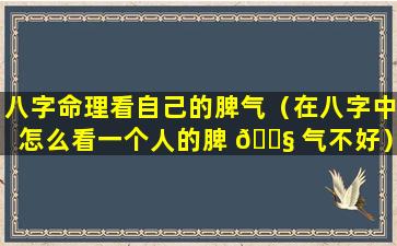 八字命理看自己的脾气（在八字中怎么看一个人的脾 🐧 气不好）